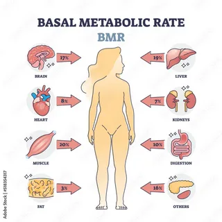 Pagbagal ng metabolismo pagkatapos ng 30